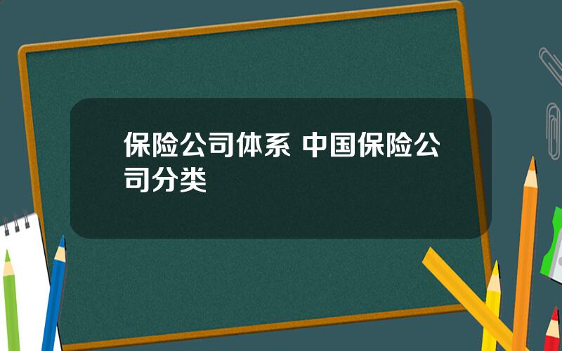 保险公司体系 中国保险公司分类